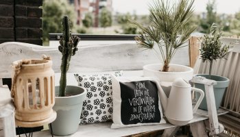 Winkeltjevananne thuiszomer.jpg